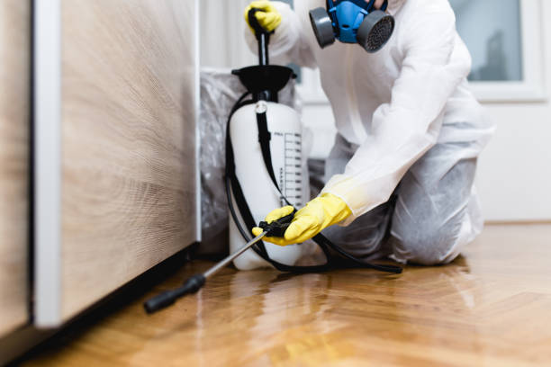 Best Bed Bug Extermination  in Mountain City, TN