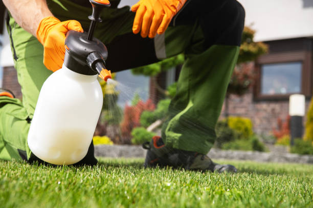 Best Emergency Pest Control  in Mountain City, TN