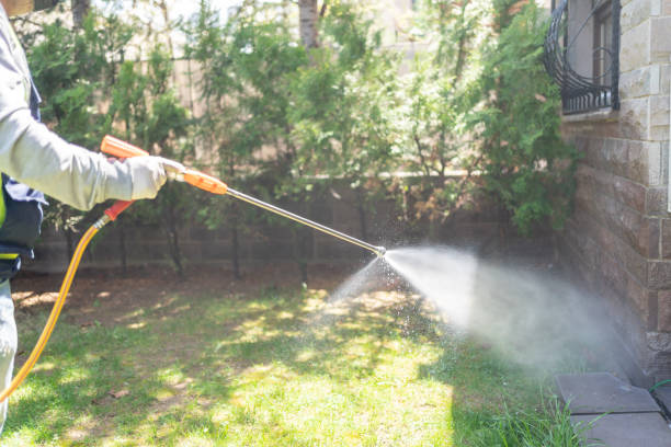 Professional Pest Control in Mountain City, TN