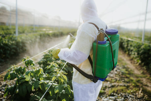 Best Cockroach Control Services  in Mountain City, TN
